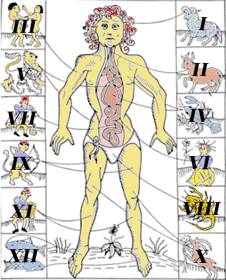 Antiguo grabado medieval que relaciona las partes del cuerpo humano con los signos zodiacales